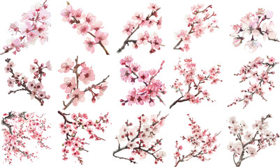FLOWER SET IN COLOR STYLE, CHERRY SET IN COLOR STYLE