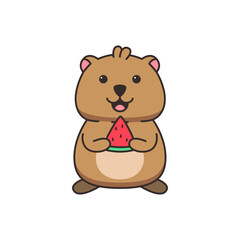 cute quokka illustration