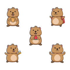 cute quokka illustrations