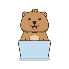 cute quokka illustration