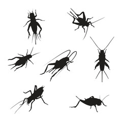 Cricket Silhouette Vector Illustration