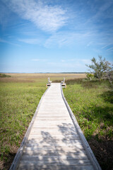 Amelia Island. Florida. Salt marshes. Boardwalk.