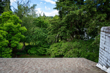 View from peak of residential house asphalt shingle roof and greenery in backyard, magnolia tree, bushes and trees, nature background
