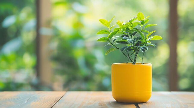 Individual starting a new hobby, like painting or gardening, new hobby, personal fulfillment