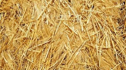 Golden compressed straw texture close up Abstract agricultural backdrop