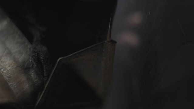 Money cents falling from wallet slow motion, vertical view