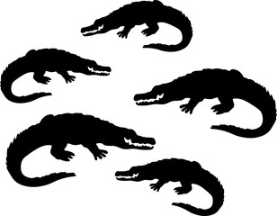 set of crocodile silhouettes on isolated background, vector illustration