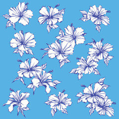 Impressive and beautiful hibiscus illustration collection, © daicokuebisu