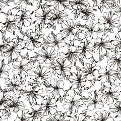Beautiful tropical flowers seamless pattern,