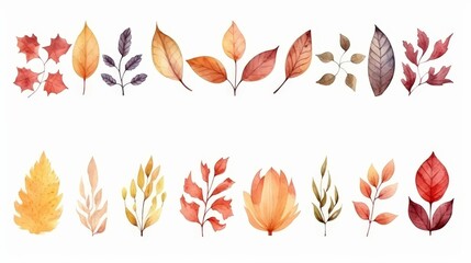 Watercolor Autumn Leaves Collection