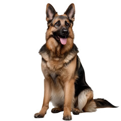 Noble Guardian: The German Shepherd Dog