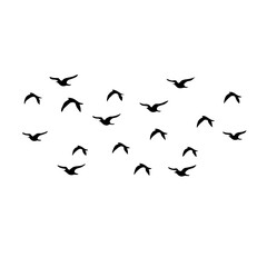 Flying birds silhouettes on white background. Vector illustration.
