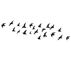 Flying birds silhouettes on white background. Vector illustration.