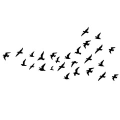 Flying birds silhouettes on white background. Vector illustration.