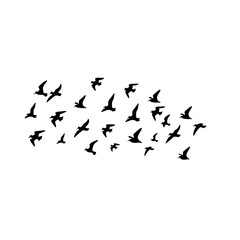 Flying birds silhouettes on white background. Vector illustration.