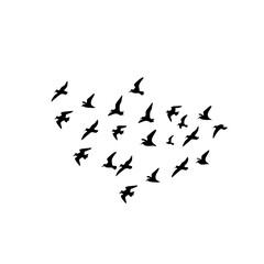 Flying birds silhouettes on white background. Vector illustration.