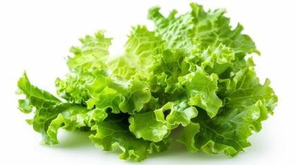 fresh organic lettuce leaf isolated on white healthy food photography