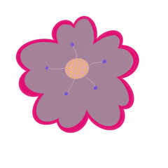 Purple flowers with fuchsia edges, beautiful and cute.