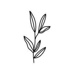 Hand drawn flowers and plants. Monochrome vector illustrations in sketch style.