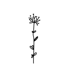 Hand drawn flowers and plants. Monochrome vector illustrations in sketch style.