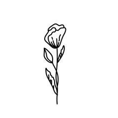 Hand drawn flowers and plants. Monochrome vector illustrations in sketch style.