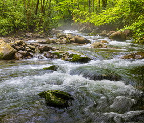 Misty Fog on Porters Creek Cascades, Great Smoky Mountains National Park, Tennessee, USA