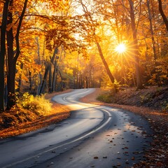 Fototapeta premium Scenic Autumn Winding Road Through Vibrant Foliage and Warm Sunlight