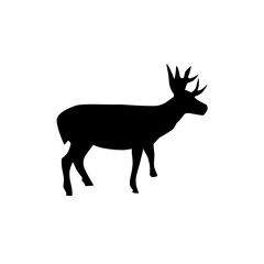 Farm Animal Silhouette collection vecto