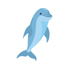 cute dolphin jumping aquatic animal