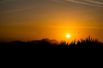 lindo atardecer con unas aves cruzando el ocaso