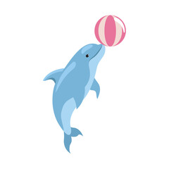 cute dolphin playing ball