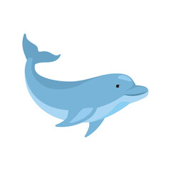 blue dolphin adorable marine mammal