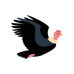 flying andean condor bird