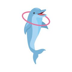 dolphin jumping through ring