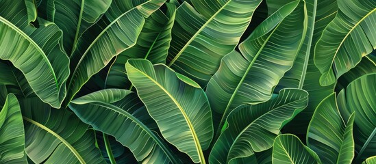 Green background featuring a texture of tropical banana palm leaves.