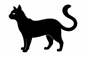 Halloween cat vector illustration