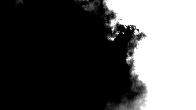Ink splatter streams flow over screen Ink bloom. black watercolor drops transition. ink splatter transition. ink brush stroke, fluid art background overlay, alpha Watercolor matte bleed bloom