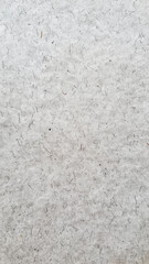 Fototapeta premium Light Gray Kraft Paper Flat Texture