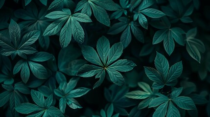 Green tropical plant close-up