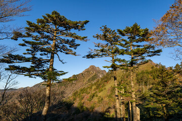 紅葉の石鎚山