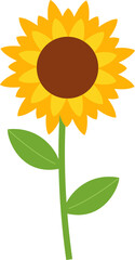 Sunflower Illustration Element