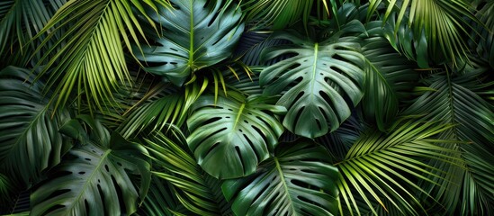 Fototapeta premium Flat lay view of tropical palm leaves from an aerial perspective