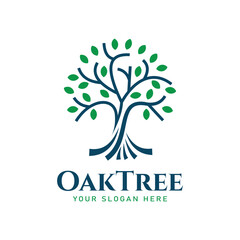 Obraz premium Elegant and modern Oak Tree This logo consists of an illustration of an oak tree with a strong trunk and branches spreading green leaves. For businesses related to nature, the environment