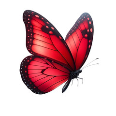 flying red butterfly on transparent background