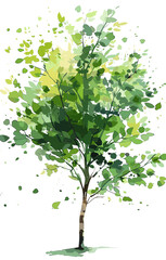 tree with leaves