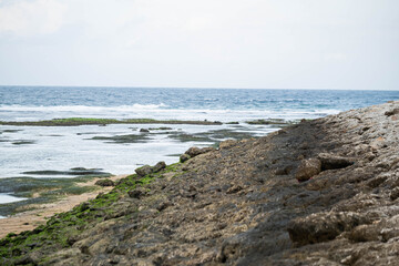 Rocky Shoreline with Algae and Waves