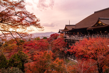 The most beautiful viewpoint of Kiyomizu-dera is a popular tourist destination in Kyoto, Japan.
