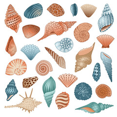 Seashell vector clipart collection. Coastal clam flat illustration. Nautical design elements on white background