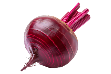 Fresh red beetroot with its green leaves isolated against a white background.