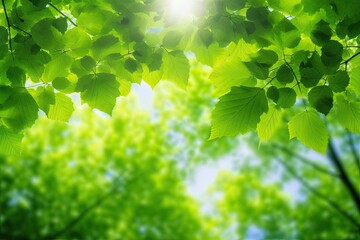 Background with bright iridescent green leaves against a backdrop of forest and sunlight.